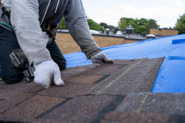 Best Residential Roof Replacement  in Juneau, WI