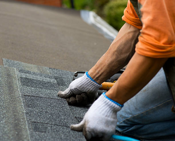 Best Roof Gutter Cleaning  in Juneau, WI
